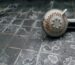How Hard Water Impacts Showers
